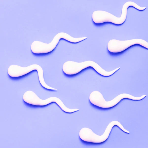 What effect does age have on sperm quality?