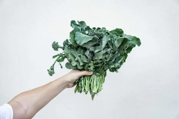 Folic acid in pregnancy