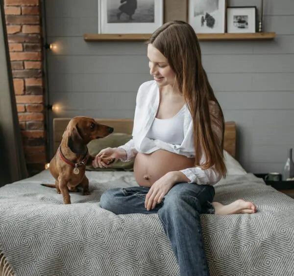 Can dogs detect pregnancy?